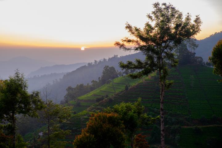 Länderbild Sri-lanka