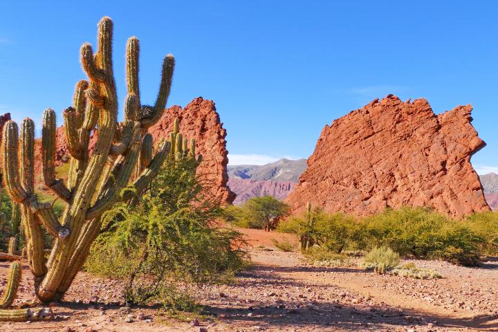 Länderbild Bolivien